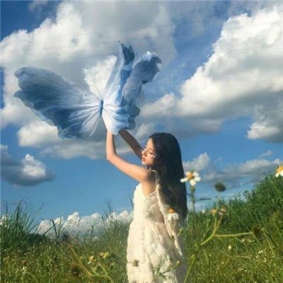 寻爱小说家：海史密斯