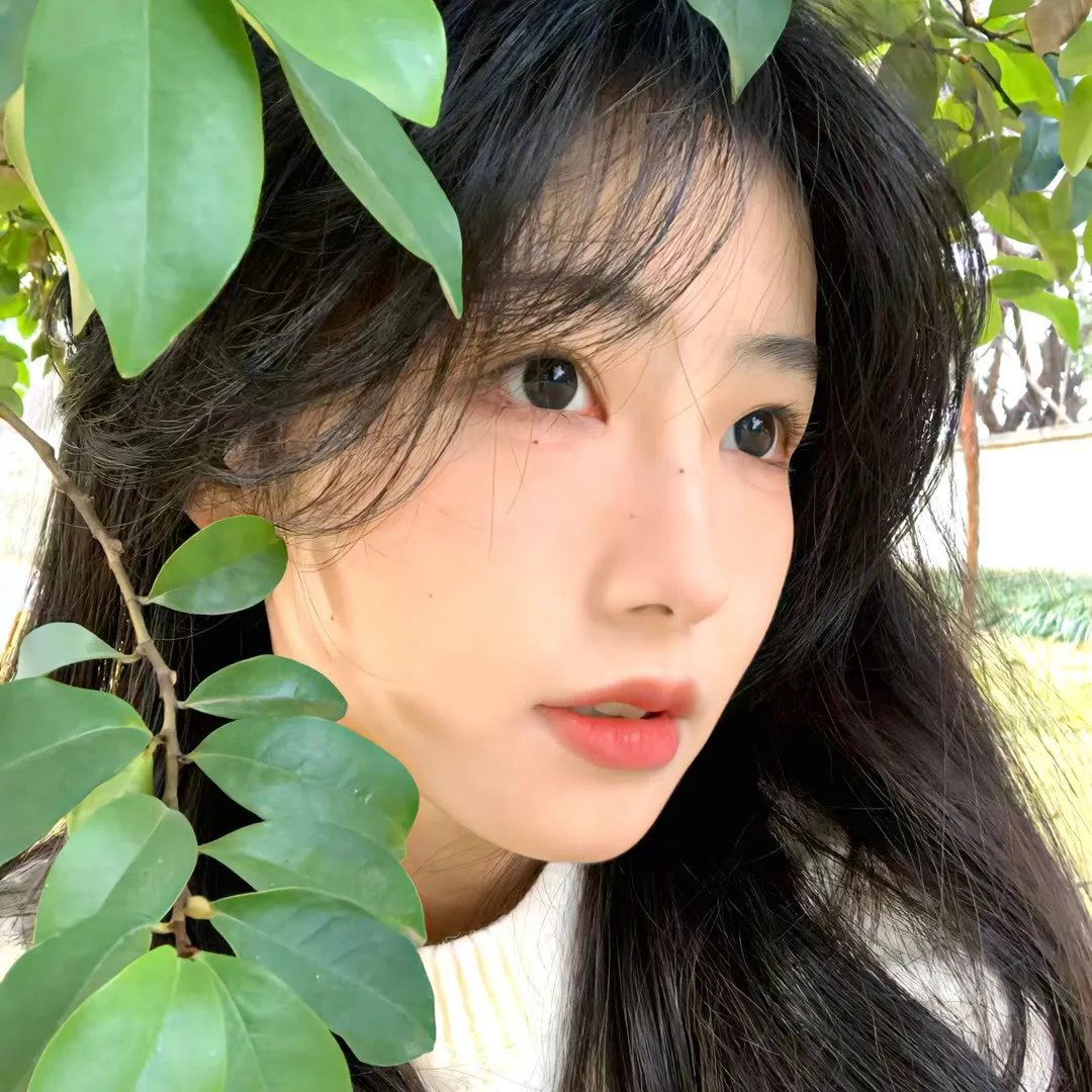 呢个校园选乜鬼